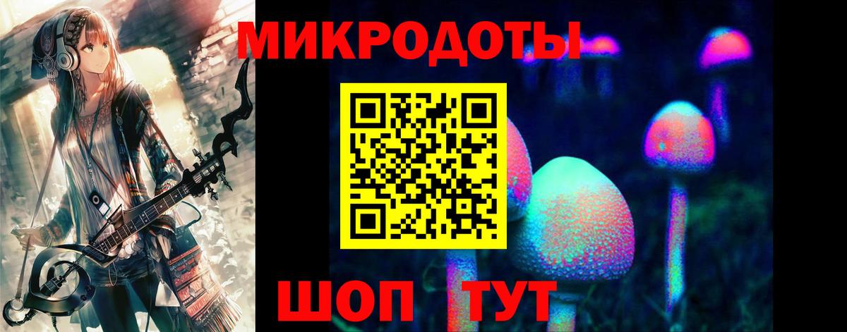 Галлюциногенные грибы прущие грибы Бийск